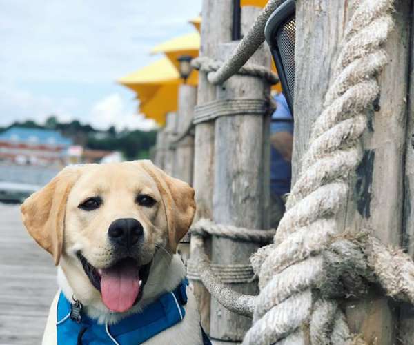 Burlington, VT Restaurant Gallery Splash at the Boathouse