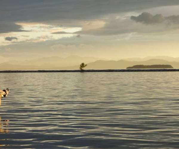 Burlington, VT Restaurant Gallery Splash at the Boathouse